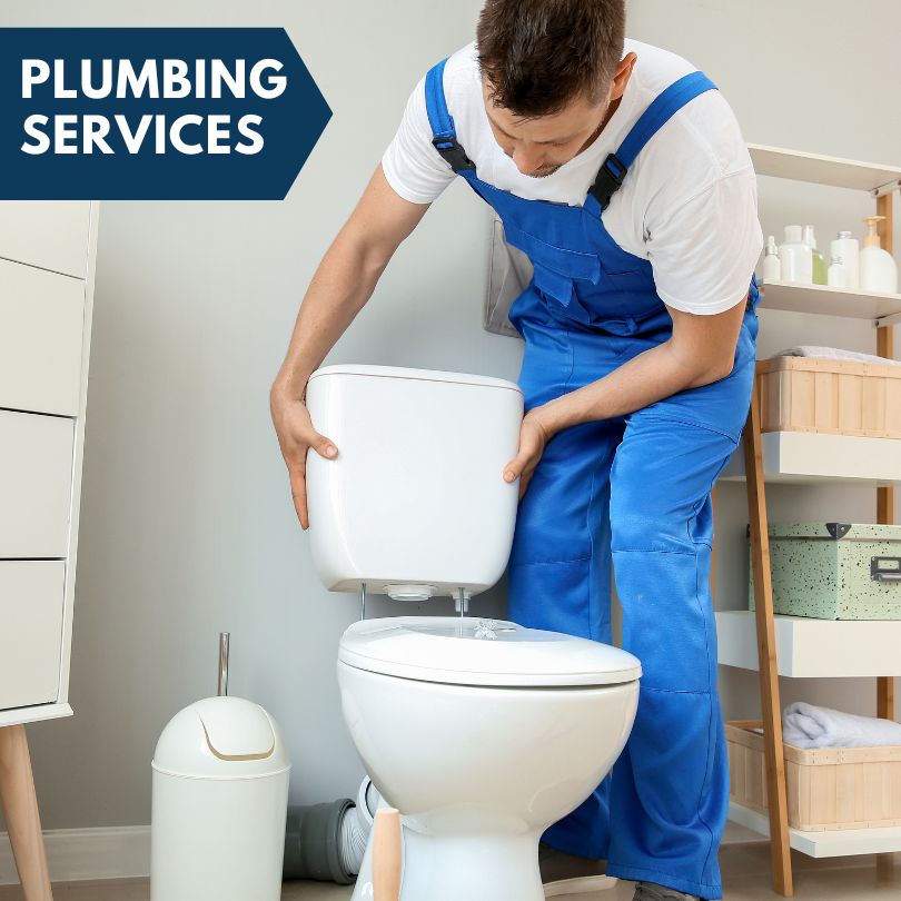 Plumbing Company in Napoleon, MI